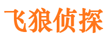 安徽出轨调查